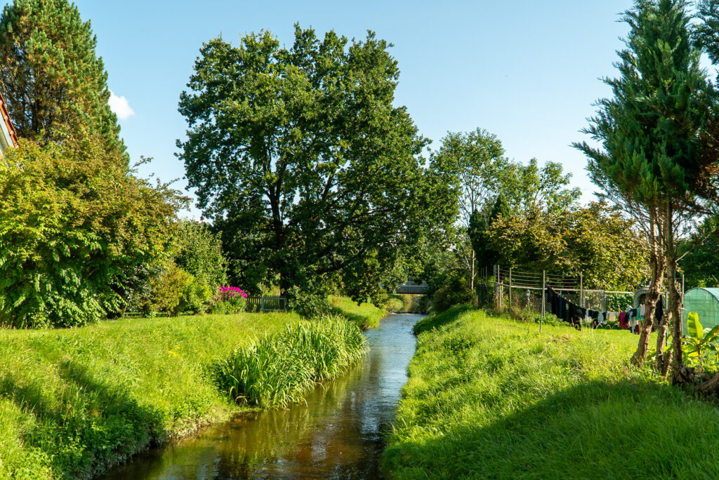 Grundstück
